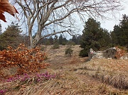 Salita al MONTE COLOMBINA (1459 m.) da Bossico il 3 aprile 2013 - FOTOGALLERY